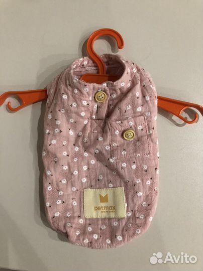 Одежда для маленьких собак, размер xs