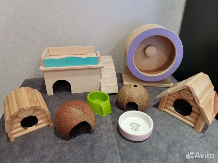 Всё необходимое для содержания сирийского хомяка