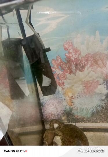 Аквариум с рыбками