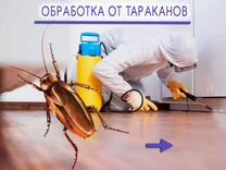 Обработка от тараканов