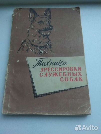 Книга- кладезь информации