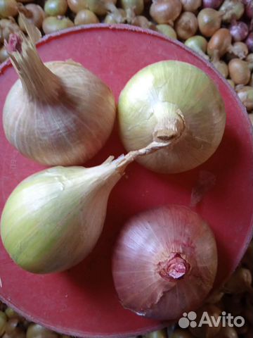 Овощи из деревни