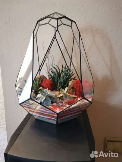 Флорариум сад в стекле 