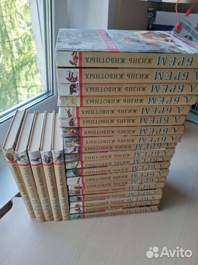 Книги А. Брэм