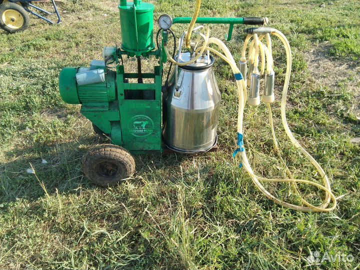 Доильный аппарат для коров