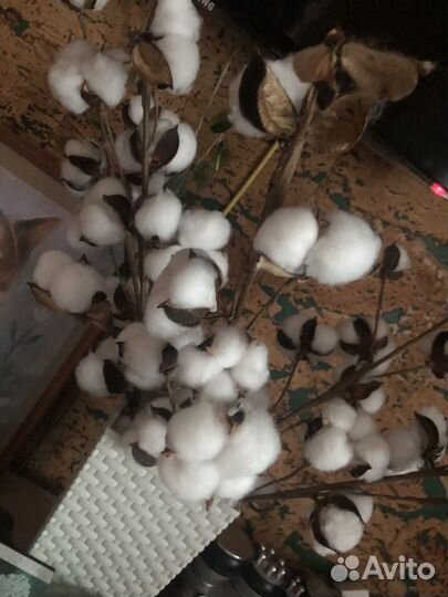 Хлопок букет