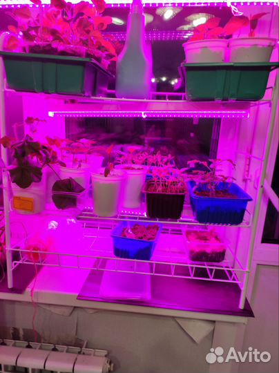 Стеллаж разборный