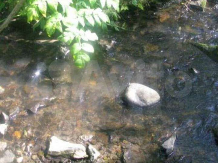 Участок 43,1 га (СНТ, ДНП)