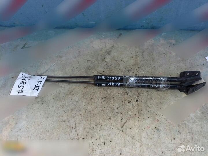 Амортизатор двери багажника Ford Focus III 2011