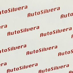 AutoSilvera