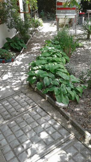 Комната 20 м² в 1-к., 1/1 эт.