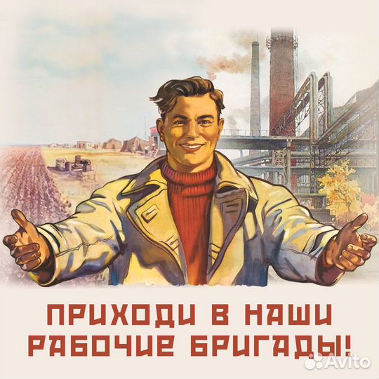 Сбор помидор в теплице