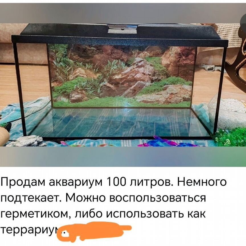 Аквариум