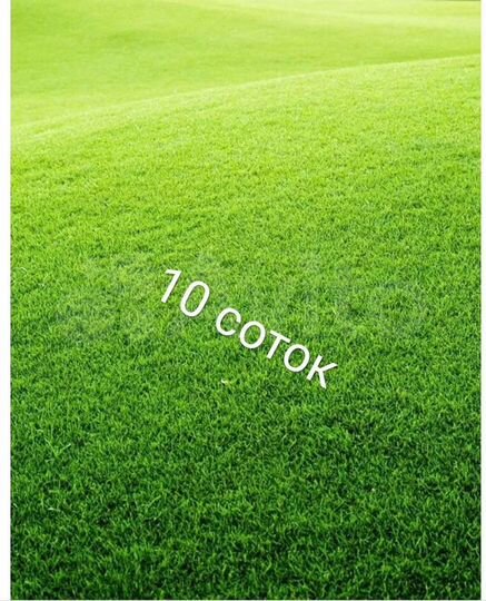 Участок 10 сот. (ИЖС)