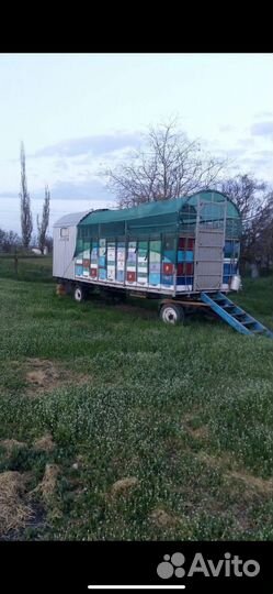 Пчелоприцеп