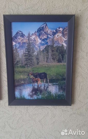 Фотокартина