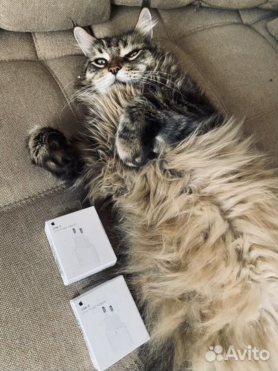 Блок питания apple 20w iPhone