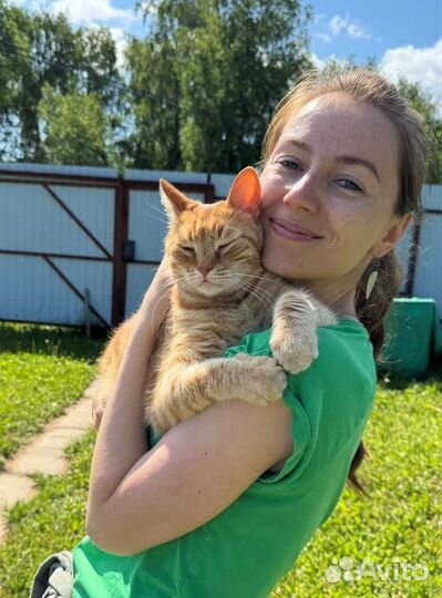 Психолог онлайн