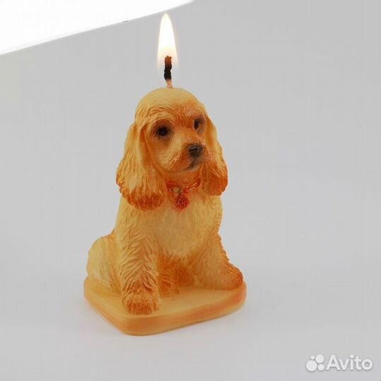 Свеча-собака