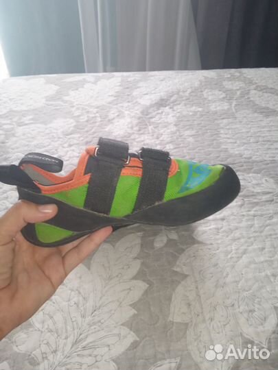 Скальные туфли