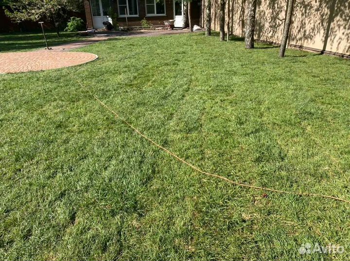 Укладка и продажа рулонного газона