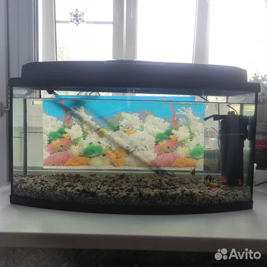 Аквариум