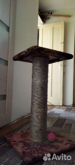 Когтеточка