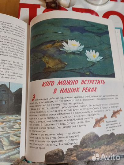 Книга о морских обитателях