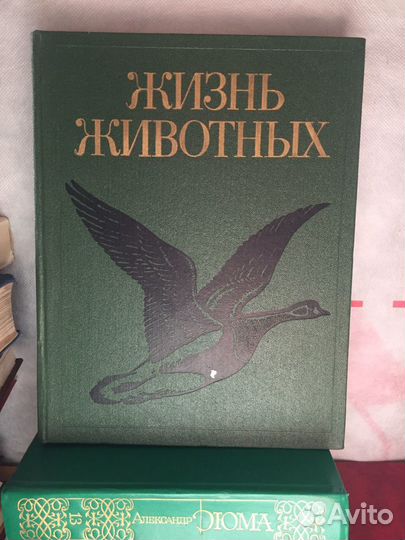 Книги жизнь животных