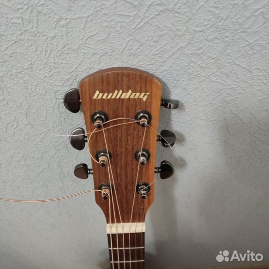 Акустическая гитара Bulldog DN-Sigma 5TU