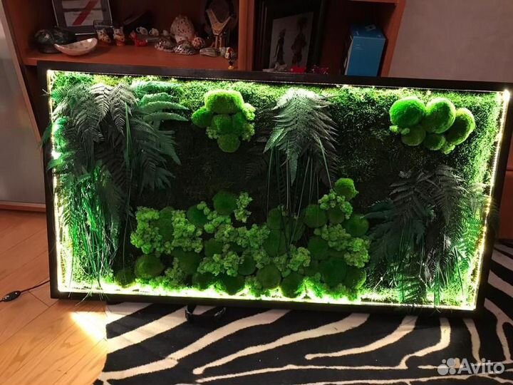 Фитокартина для зеленого интерьера Арт: 215832