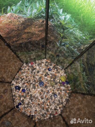 Аквариум 50 литров