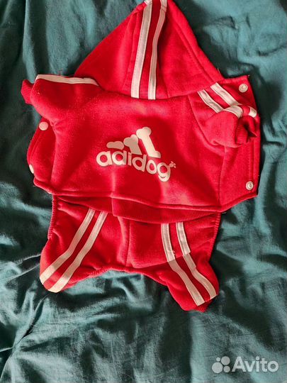 Одежда для собак