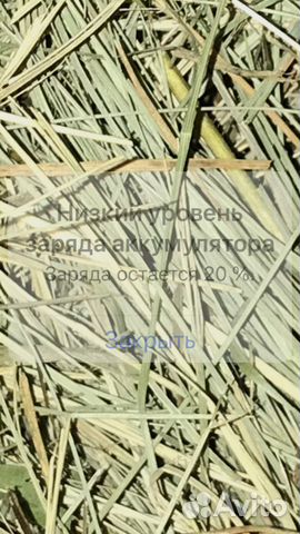 Сеносупер качество.собираю вручную