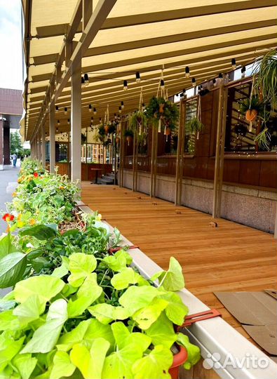 Гирлянда на витом проводе