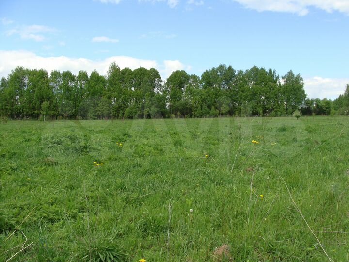 Участок 1,6 га (ИЖС)