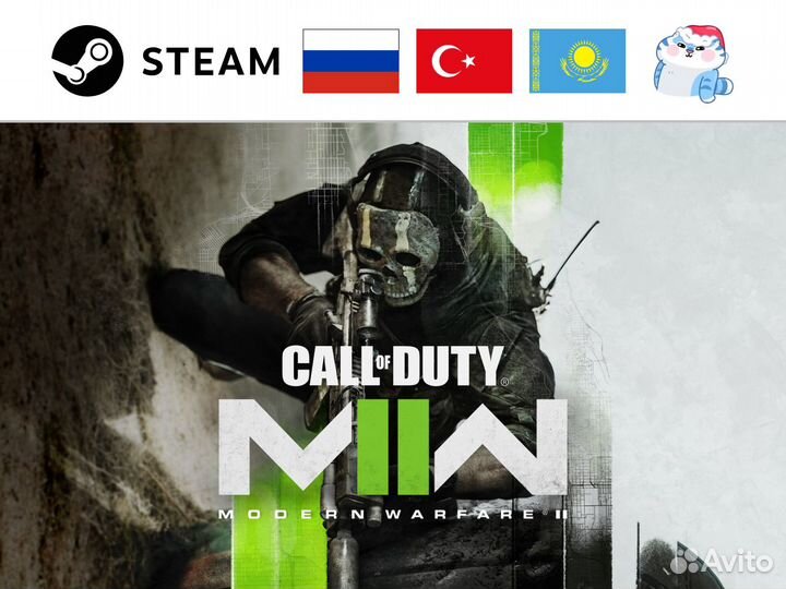 Call of Duty: Modern Warfare 2 (Steam & Blizzard)