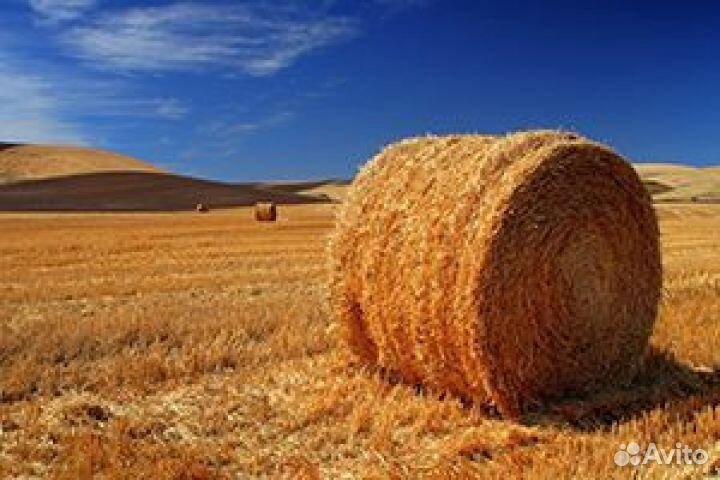 Солома сено