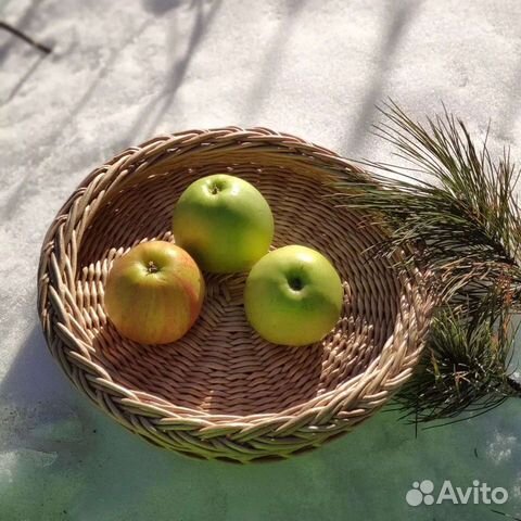 Плетёные подносы