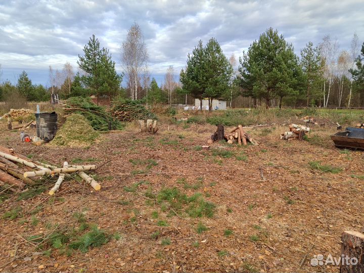 Расчистка участка. Спил деревьев