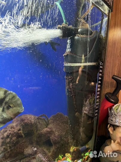 Аквариум с рыбками бу
