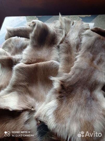 Продам шкурки оленя