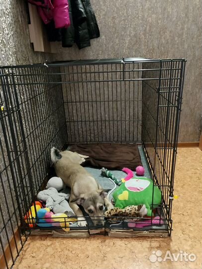 Клетка для собак 6 номер