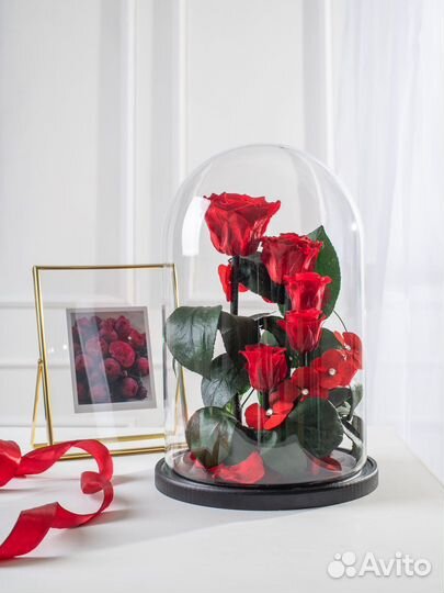 Долговечная живая роза в колбе