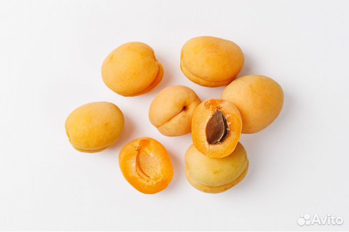 Абрикос Шалах