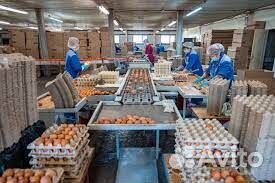 Упаковщик\ца яиц вахта Проживание Питание