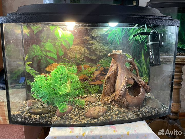 Аквариум 45 литров