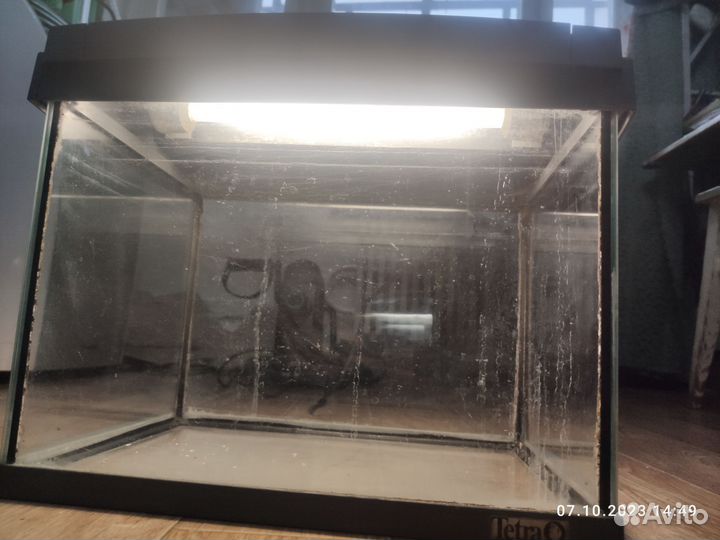 Аквариум