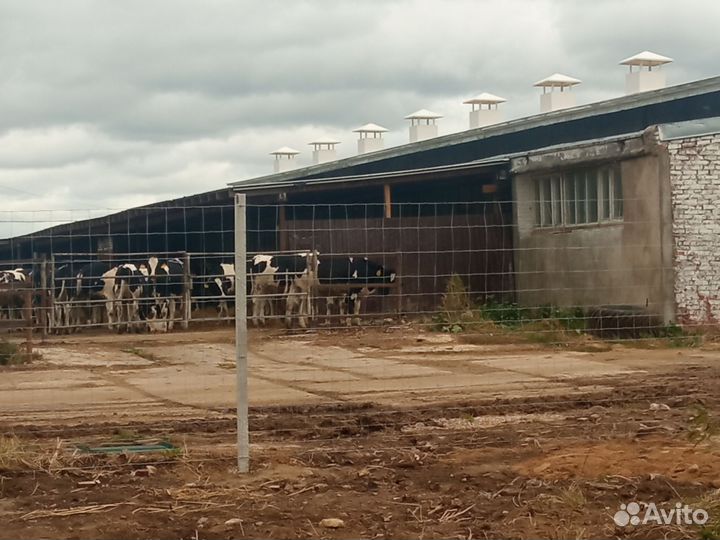 Столб для Рабицы