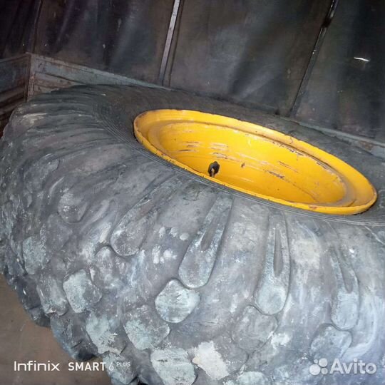 Forward Professional 301 16.00 R24